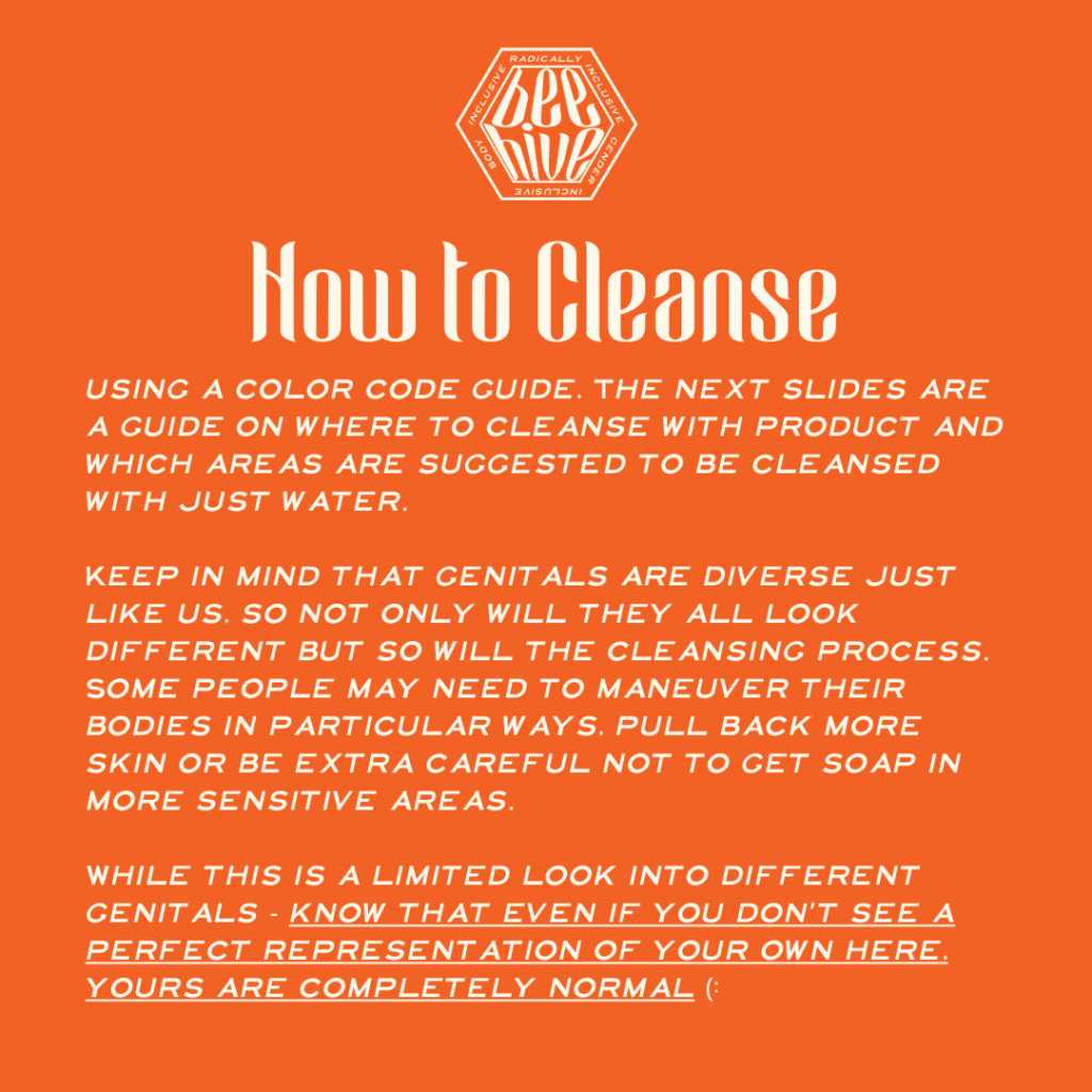 How to Cleanse: using a color code guide, The next slides are a guide on where to cleanse with product and which areas are suggested to be cleansed with just water.  Keep in mind that genitals are diverse just like us, so not only will they all look different but so will the cleansing process. Some people may need to maneuver their bodies in particular ways, pull back more skin or be extra careful not to get soap in more sensitive areas.   While this is a limited look into different genitals - know that even if you don’t see a perfect representation of your own here, yours are completely normal (: